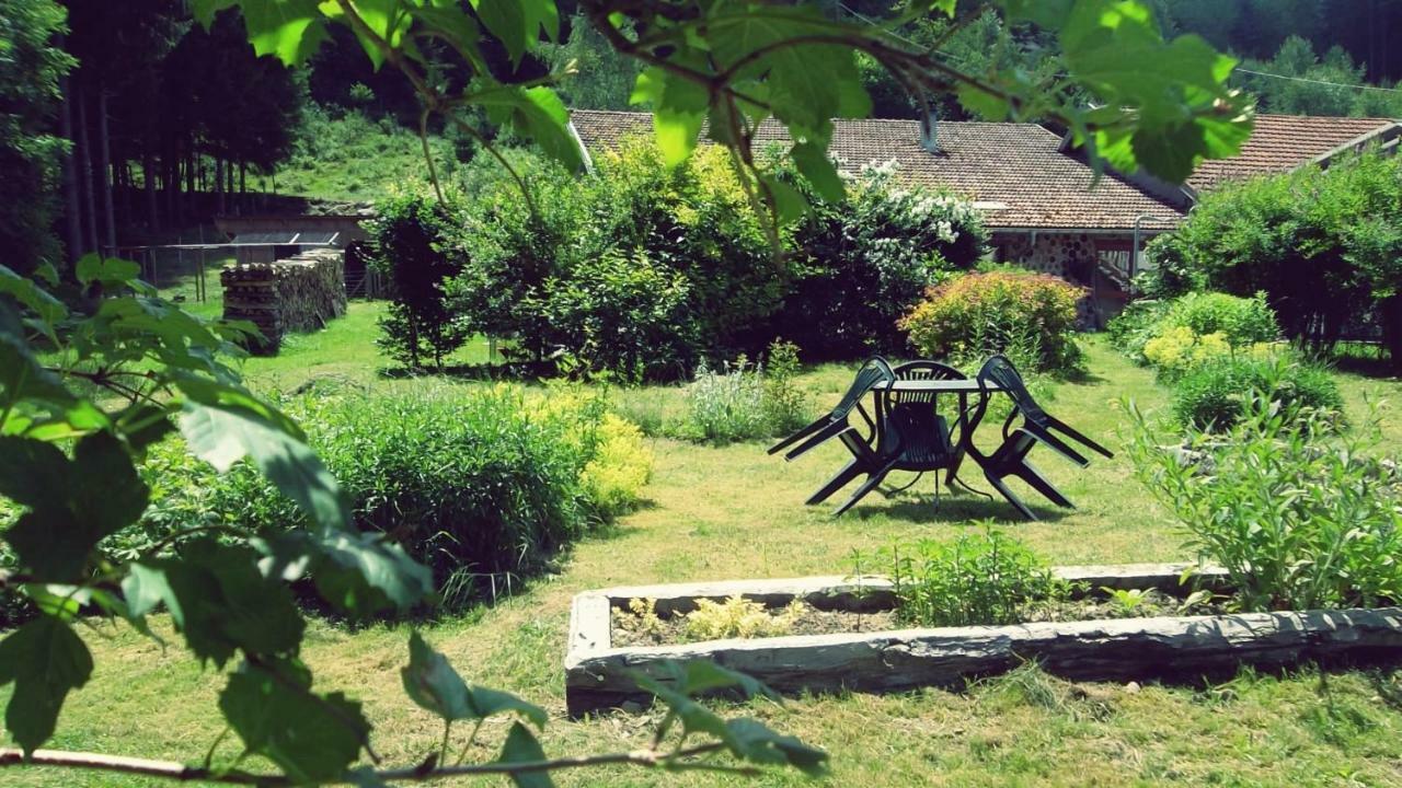La Boissellerie Hotell Saulxures-sur-Moselotte Eksteriør bilde